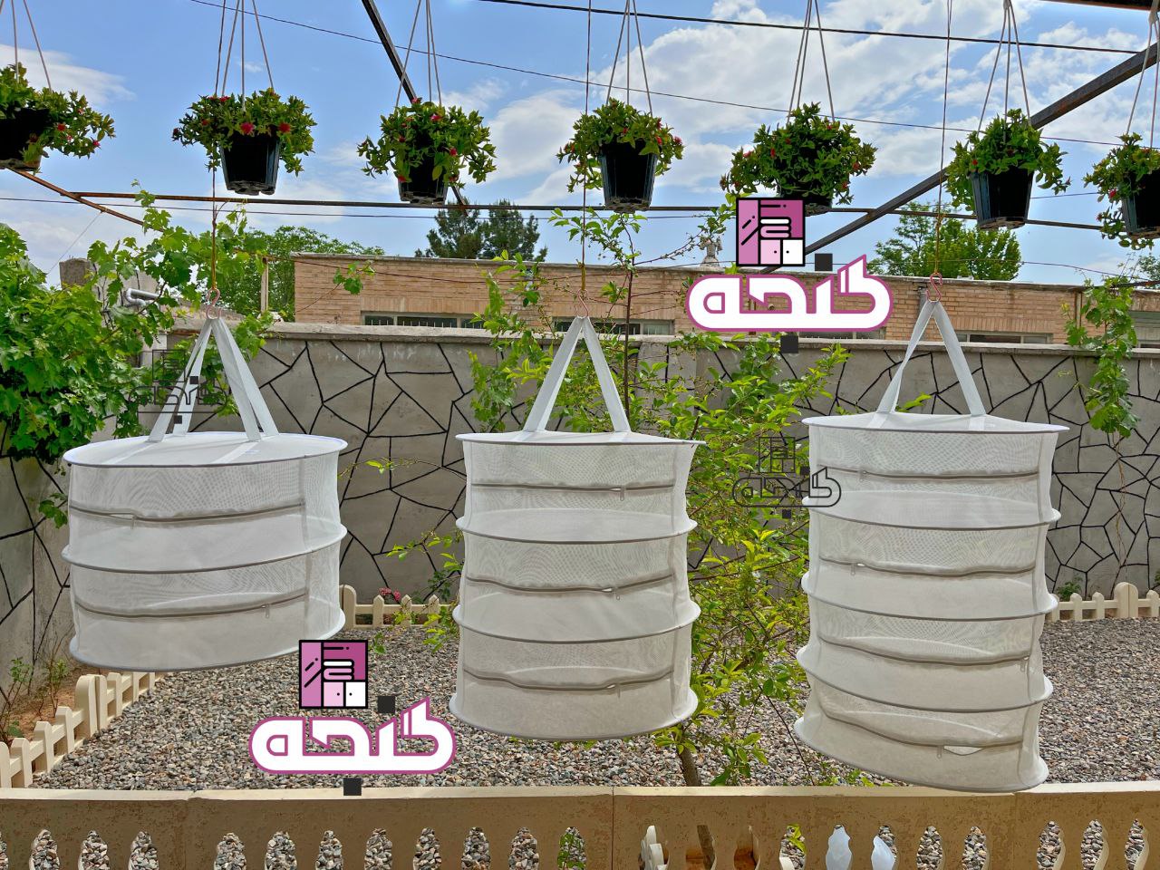 توری میوه و سبزی خشک کن